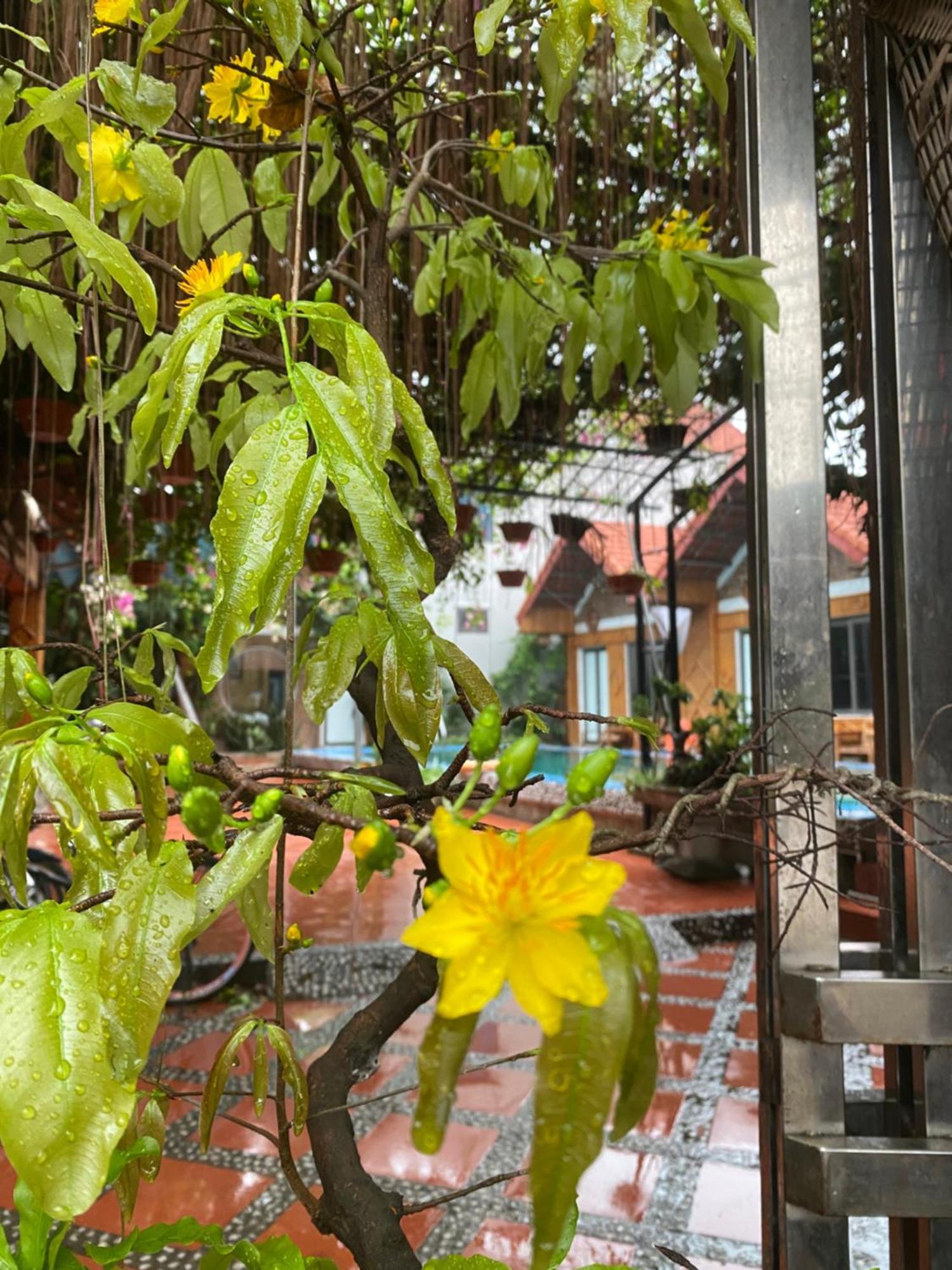 닌빈 Tam Coc Charming Bungalow B&B 외부 사진