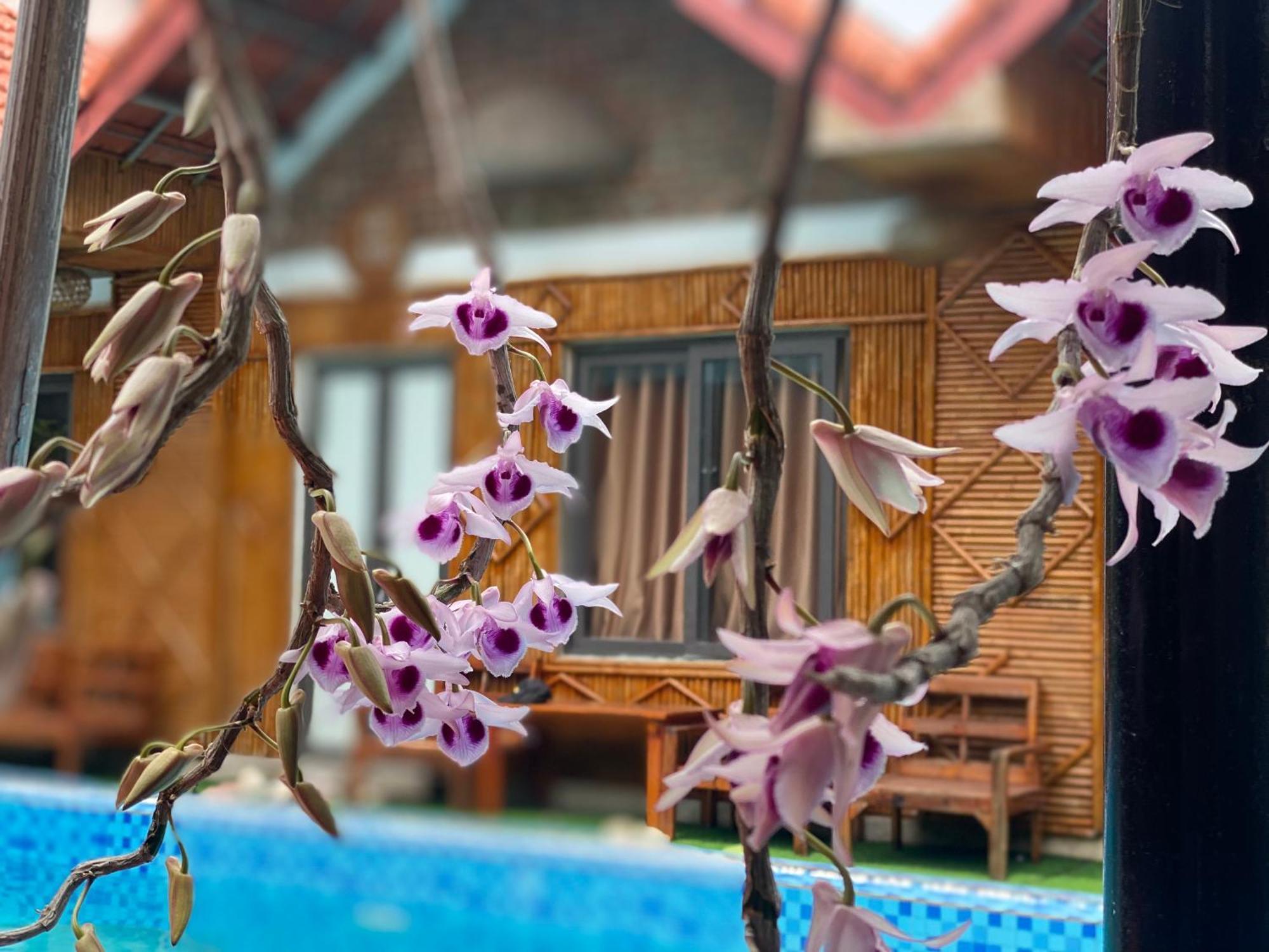 Tam Coc Charming Bungalow 닌빈 외부 사진