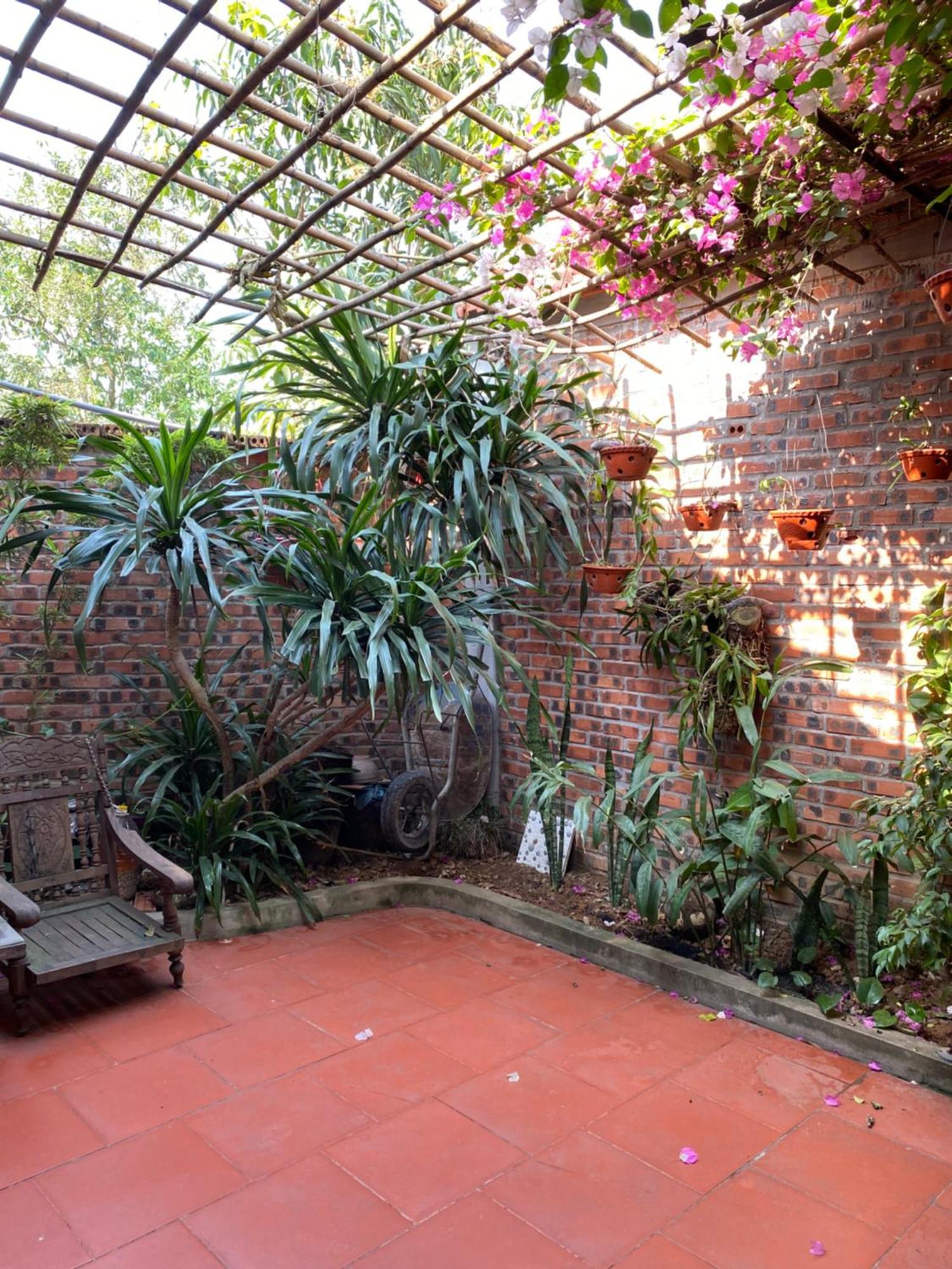 Tam Coc Charming Bungalow 닌빈 외부 사진